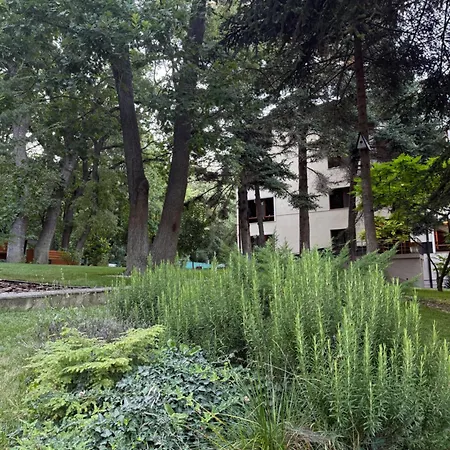 Forest Club Premium Apartment