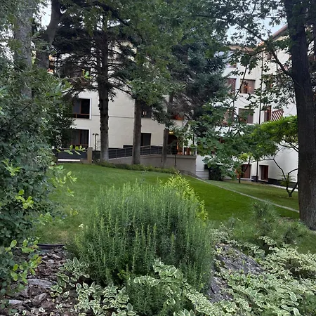 Forest Club Premium Apartment Warna